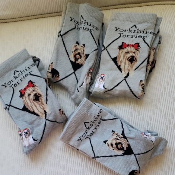 Host Pick * New YORKSHIRE TERRIER socks - Picture 5 of 5